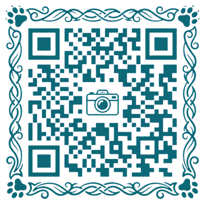 91公众号二维码